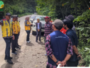 Kaltim Akan Miliki Jalan Koridor Satwa di Jalan Nasional