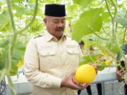 Bupati Kukar Panen Melon di Lahan Green House Desa Rapak Lambur