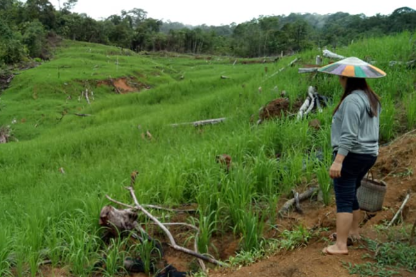 Cuplikan layar 2023-12-01 044200