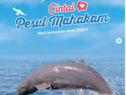 Berikan Cintamu untuk Pesut Mahakam