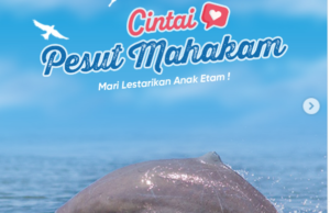 Berikan Cintamu untuk Pesut Mahakam