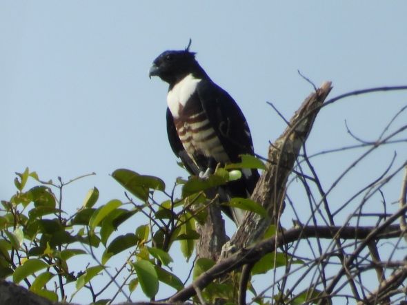 WhatsApp Image 2025-03-23 at 00.33.07n