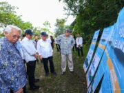 Pusat Suaka Orangutan Akan Dibangun di Teluk Balikpapan