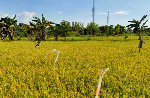 Cuplikan layar 2023-12-08 024324q