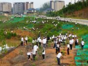 Penanaman Pohon sebagai Komitmen Otorita IKN Wujudkan Kota Hutan
