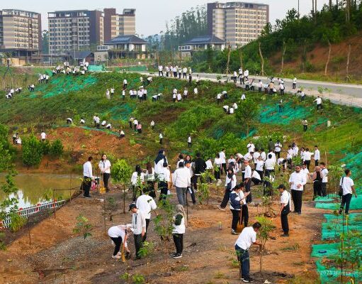 Penanaman Pohon sebagai Komitmen Otorita IKN Wujudkan Kota Hutan