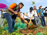 Realestat Indonesia Tanam 800 Bibit Pohon di Ibu Kota Nusantara