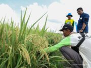 Petani Loa Janan Dibantu Pasarkan Hasil Pertanian