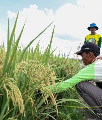 Petani Loa Janan Dibantu Pasarkan Hasil Pertanian