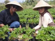 Dinas Ketahanan Pangan Adakan Pengawasan Pangan Segar Asal Tumbuhan