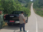 Beruang Tertabrak Truk, BKSDA Imbau Masyarakat Waspada Berkendara