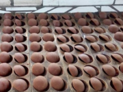 Warga Batuah Diberi Pelatihan Mengolah Gula Aren dan Gula Semut