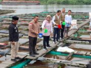 Kadar Oksigen Air Rendah, PLN Kalimantan Beri Bantuan Aerator Listrik