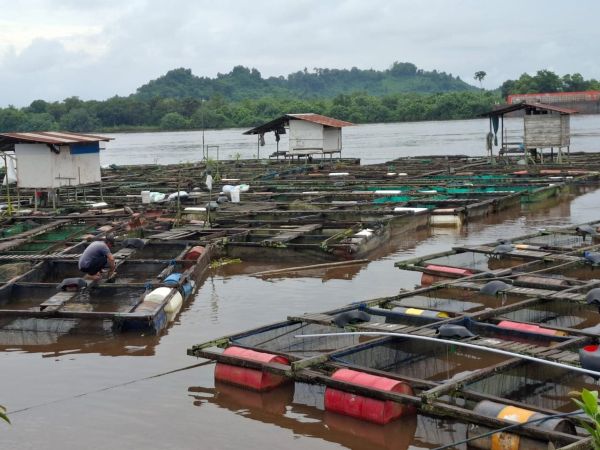 WhatsApp Image 2025-06-30 at 13.54.45c