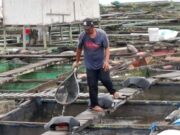 Kecamatan Loa Kulu Dorong Pengembangan Minapolitan