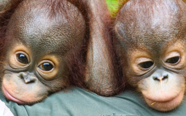 Cuplikan layar 2025-07-17 214017e