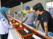 Otorita IKN Gelar Nusantara Liberica Coffee Exhibition