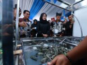 Bahas Ekspor ke AS, Ratusan Pelaku Industri Udang se Indonesia Kumpul di Banyuwangi