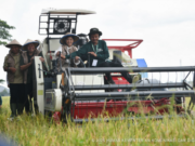 IoT Turunkan Emisi dan Pupuk 50 Persen, Kemkomdigi Sukses Terapkan Tani Digital