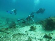 Kemenpar Intensifkan Famtrip Raja Ampat Bidik Peningkatan Kunjungan Wisata Bahari Australia