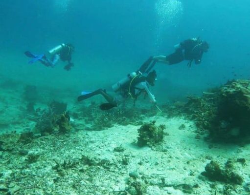 Kemenpar Intensifkan Famtrip Raja Ampat Bidik Peningkatan Kunjungan Wisata Bahari Australia