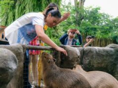 Wamenpar Pastikan Destinasi Wisata Bogor Siap Sambut Wisatawan Libur Nataru