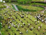 OIKN Gandeng MANKA dan Komunitas Pengamat Burung Rilis Buku Potret Alam Nusantara