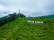 Kemenpar dan ILO Dorong Percepatan Transisi Pariwisata Hijau