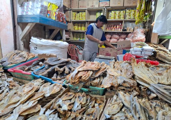 WhatsApp Image 2026-02-03 at 08.05.12c